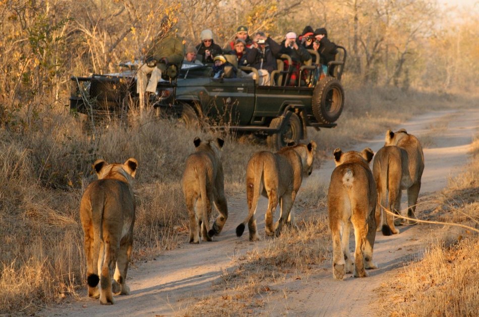 south africa overnight safari