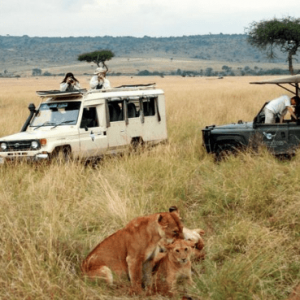 Namibia Middle Class Guestfarm Tour