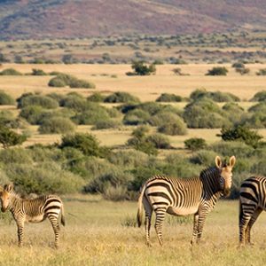 15Days Solo Beautiful Namibia Vacation Tour
