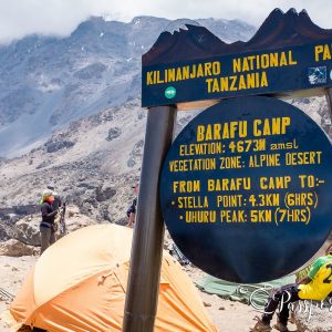 11 Day Mt Kilimanjaro Lemosho Climb Tour