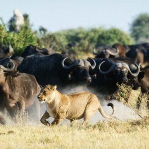 40 Days Economic tour Cape Town to Kenya Masai Mara Adventure