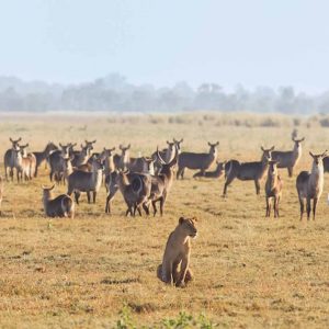 8Day Classic – Hidden Zimbabwe Tour